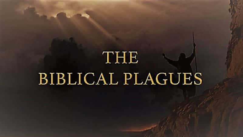 ¼Ƭʥֻһ/The Biblical Plagues: Series 1-Ļ