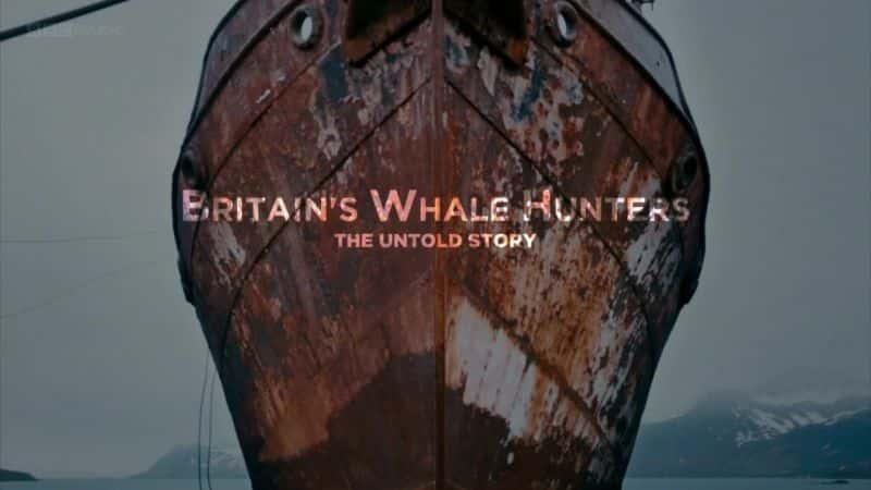 ¼ƬӢĲߣδ֪Ĺ/Britain's Whale Hunters: The Untold Story-Ļ