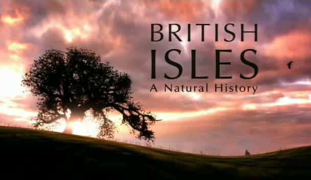 ¼ƬеȺ-Ȼʷ/British Isles - A Natural History-Ļ