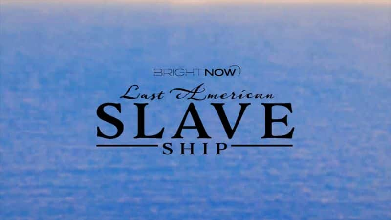 ¼Ƭڣū/Bright Now: Last American Slave Ship-Ļ