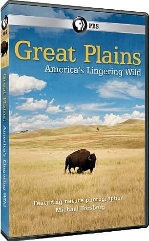 ¼ƬƽԭĲдҰ/Great Plains: America's Lingering Wild-Ļ