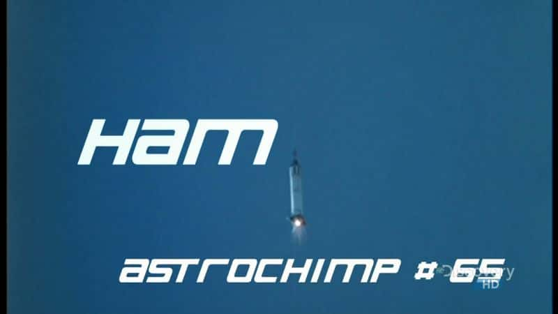 ¼Ƭ - ̫65/Ham - Astrochimp 65-Ļ