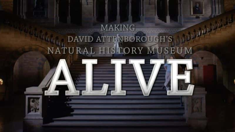 ¼ƬǱȻʷ/Making David Attenborough's Natural History Museum Alive-Ļ