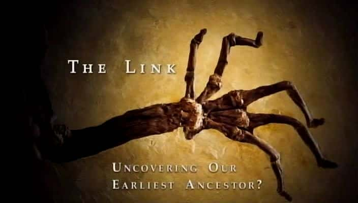 ¼Ƭ - ʾ/The Link - Uncovering Our Earliest Ancestor-Ļ