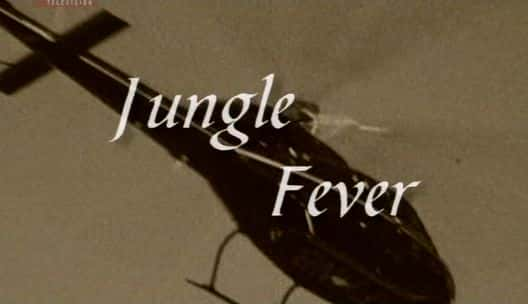 ¼Ƭ/Jungle Fever-Ļ