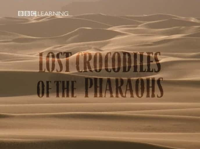 ¼Ƭϵʧ/Lost Crocodiles of the Pharaohs-Ļ