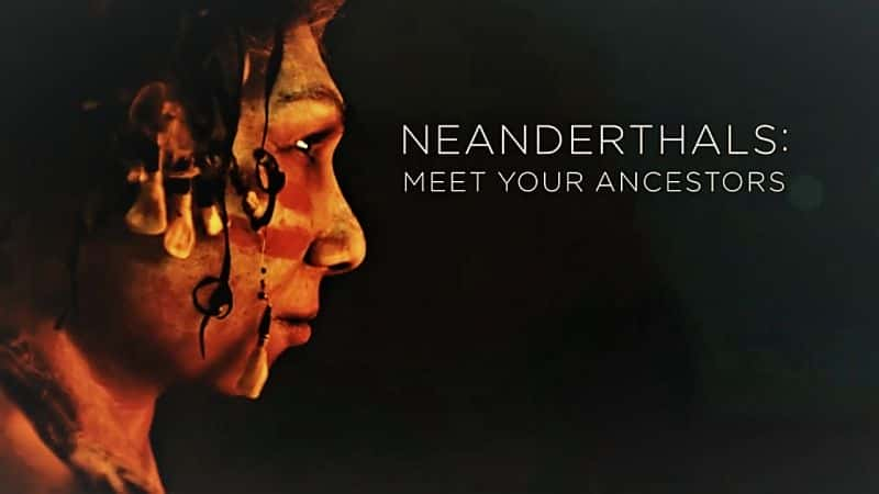 ¼Ƭᰲˣȼϵ1/Neanderthals: Meet Your Ancestors Series 1-Ļ