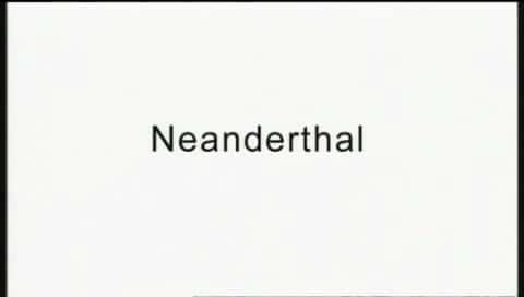 ¼Ƭᰲ/Neanderthal-Ļ