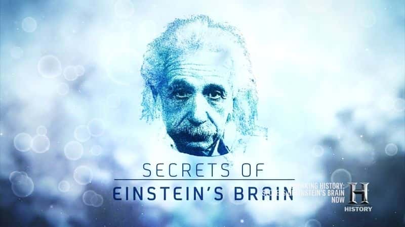¼Ƭ˹̹Ե/Secrets of Einstein's Brain-Ļ
