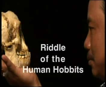 ¼Ƭ٪֮/Riddle of the Human Hobbits-Ļ