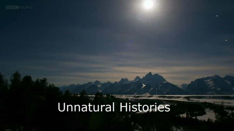 ¼ƬȻʷ/Unnatural Histories-Ļ