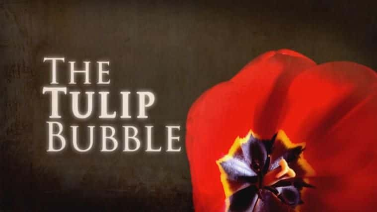 ¼Ƭĭ/The Tulip Bubble-Ļ