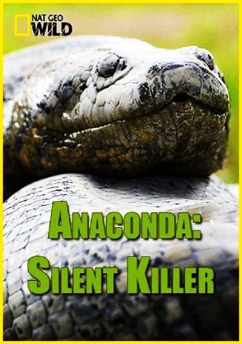 ¼Ƭɱ/Anaconda: Silent Killer-Ļ