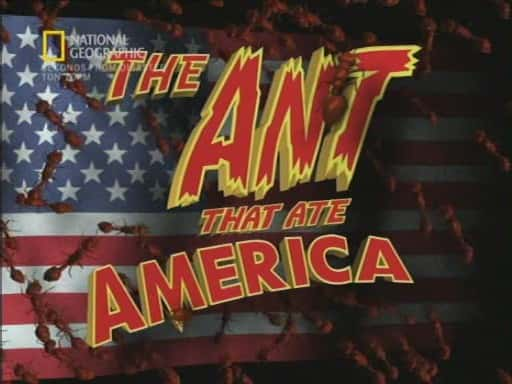 ¼ƬԵ/The Ant that Ate America-Ļ