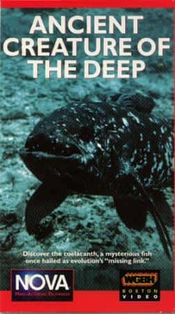 ¼Ƭ/Ancient Creature of the Deep-Ļ