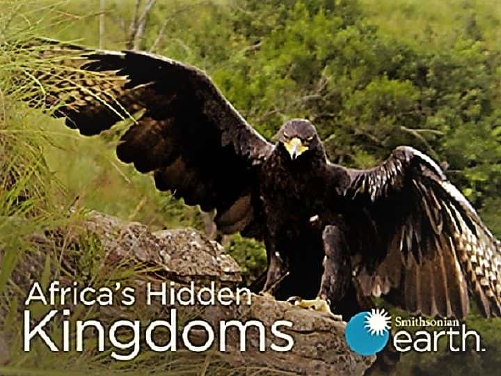 ¼Ƭ޵һ/Africa's Hidden Kingdoms: Series 1-Ļ