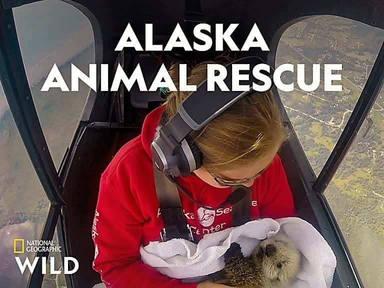 ¼Ƭ˹ӶԮһ/Alaska Animal Rescue: Series 1-Ļ