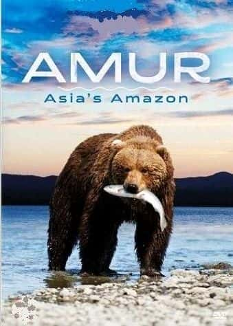 ¼Ƭ¶-޵ѷһ/Amur- Asias Amazon: Series 1-Ļ