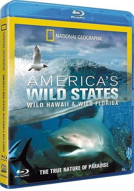 ¼Ƭ޵ҰݣҰ - Ұ/Americas Wild States: Wild Hawaii - Wild Florida-Ļ