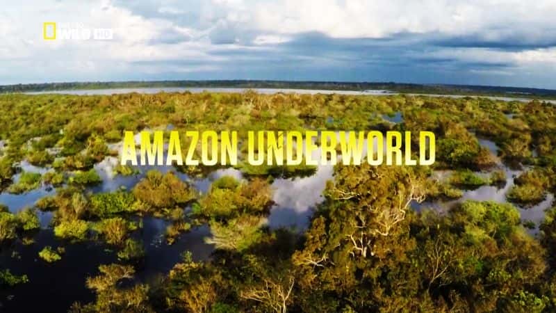 ¼Ƭѷ/Amazon Underworld-Ļ