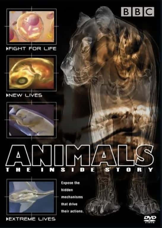 ¼Ƭ - Ļ/Animals - The Inside Story-Ļ