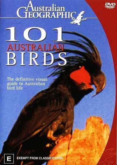 ¼Ƭ101ֻĴ/101 Australian Birds-Ļ