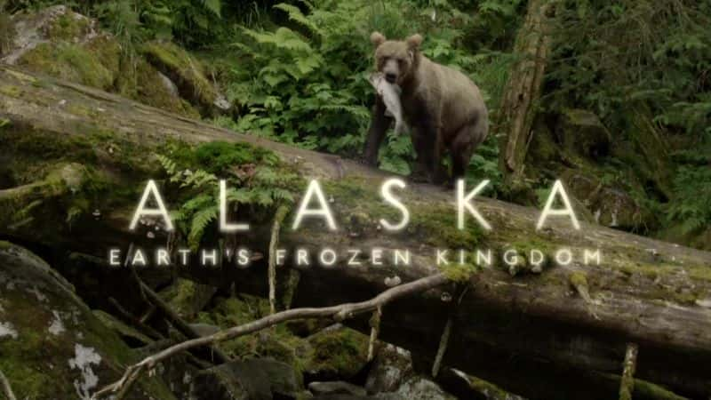 ¼Ƭ˹ӣı/Alaska: Earth's Frozen Kingdom-Ļ