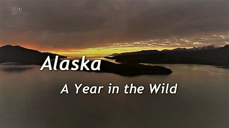 ¼Ƭ˹ӣҰһϵ-1/Alaska: A Year in the Wild Series -1-Ļ