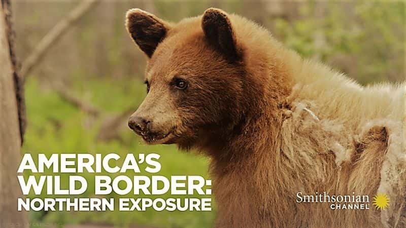 ¼Ƭı߾Ұع/America's Wild Border: Northern Exposure-Ļ