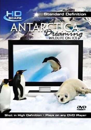 ¼Ƭϼ޵-ϵҰ/Antarctica Dreaming - Wildlife on Ice-Ļ