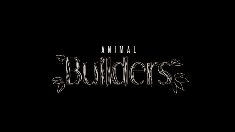 ¼Ƭｨʦ/Animal Builders-Ļ