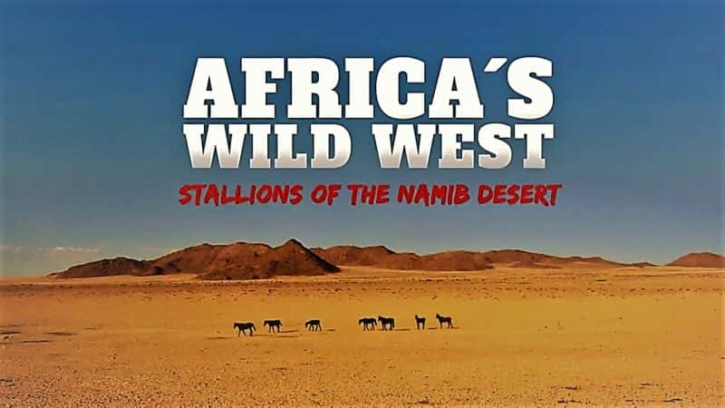 ¼Ƭ޵ҰײɳĮ/Africas Wild West: Stallions of the Namib Desert-Ļ