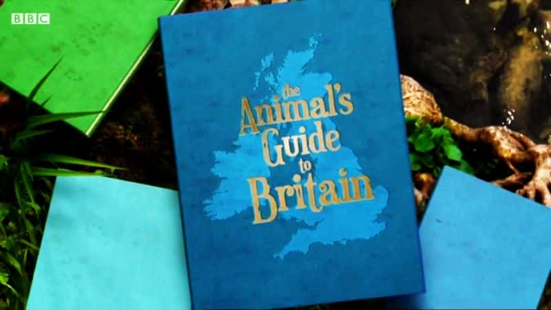 ¼ƬָϣӢ/The Animals Guide to Britain-Ļ