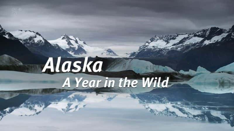 ¼Ƭ˹ӣҰһ/Alaska: A Year in the Wild-Ļ