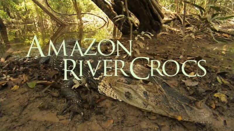 ¼Ƭѷ/Amazon River Crocs-Ļ