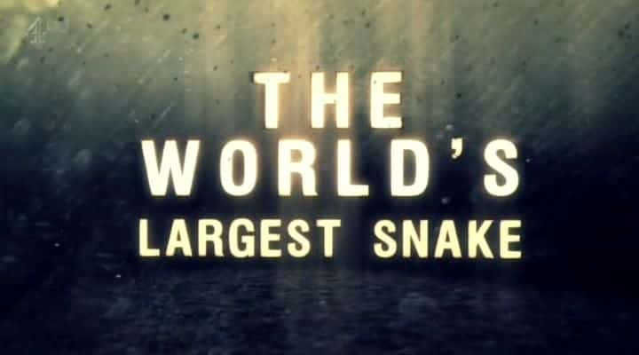 ¼Ƭ/The World's Largest Snake-Ļ