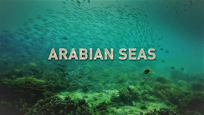 ¼Ƭ1/Arabian Seas: Series 1-Ļ