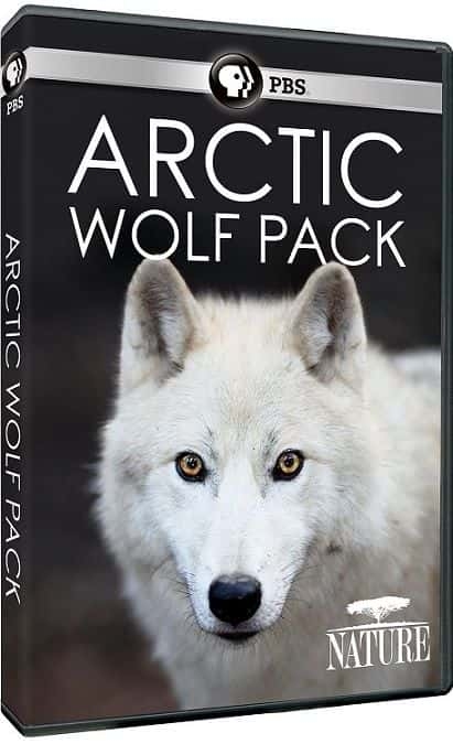 ¼ƬȺ/Arctic Wolf Pack-Ļ