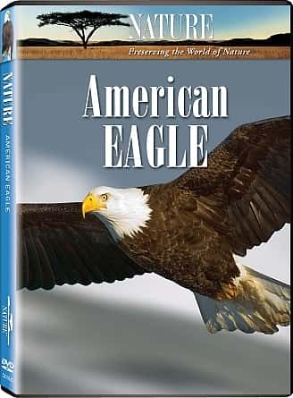 ¼Ƭӥ/American Eagle-Ļ