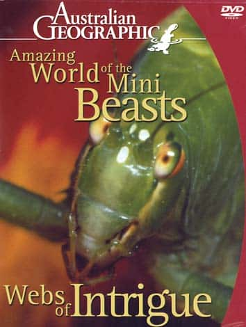 ¼Ƭ/Amazing World of the Mini Beasts-Ļ