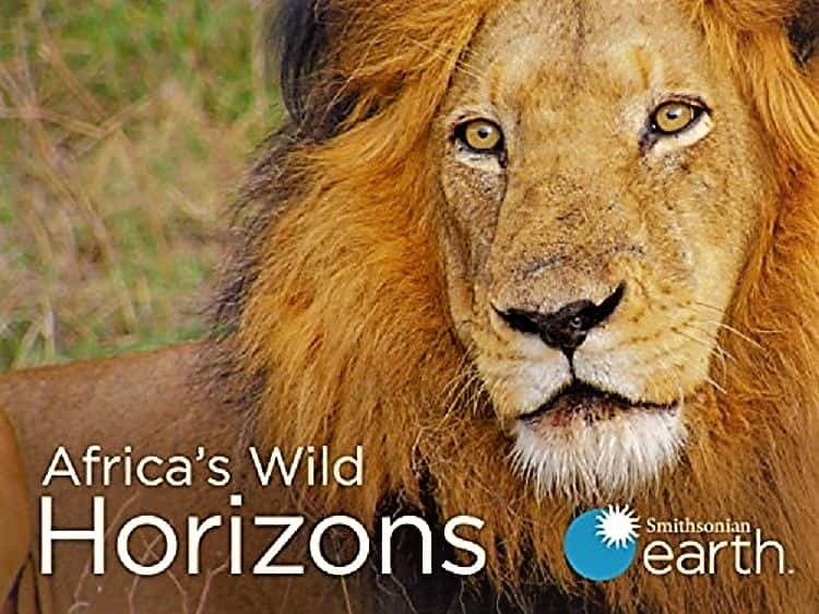 ¼Ƭ޵Ұƽߣһ/Africas Wild Horizons: Series 1-Ļ