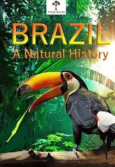 ¼Ƭ - Ȼʷ/Brazil - A Natural History-Ļ