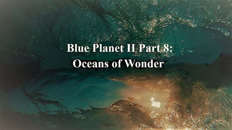 ¼ƬɫII8֣ĺ/Blue Planet II Part 8: Oceans of Wonder-Ļ