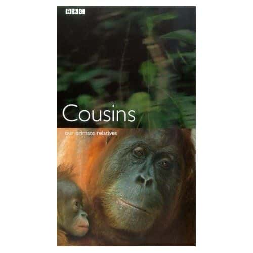 ¼Ƭףǵ鳤/Cousins: Our Primate Relatives-Ļ