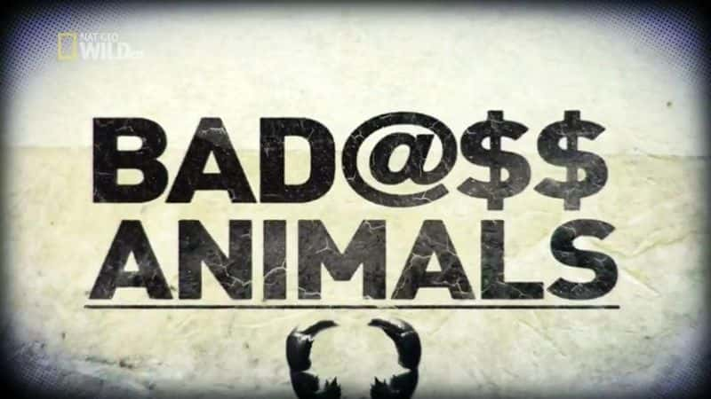 ¼ƬҰ/Badass Animals-Ļ