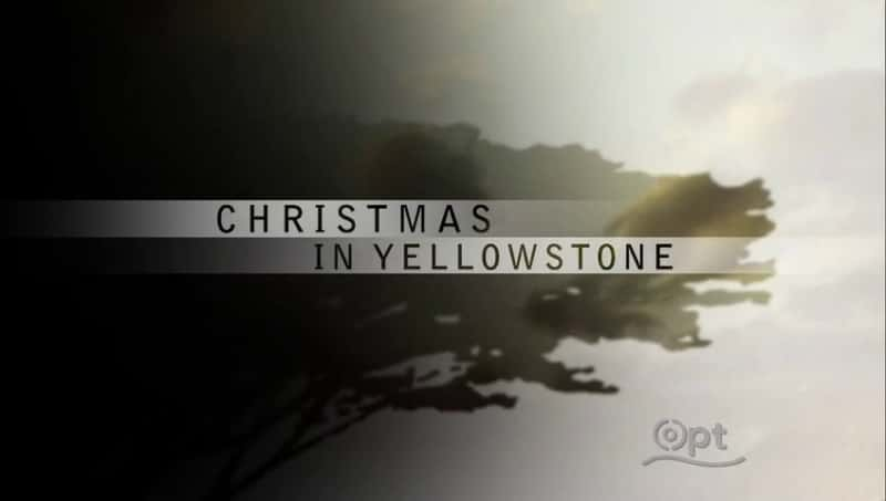 ¼Ƭʯ԰ʥ/Christmas in Yellowstone-Ļ