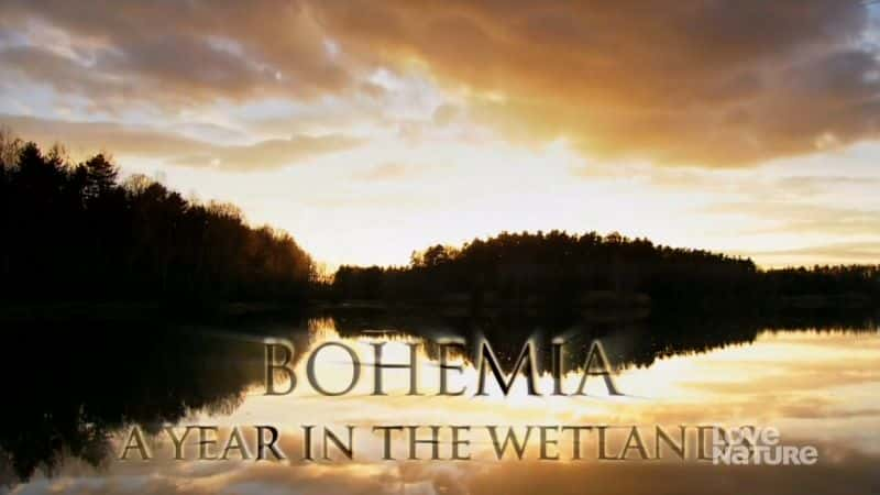 ¼Ƭ - ʪеһ/Bohemia - A Year in the Wetlands-Ļ