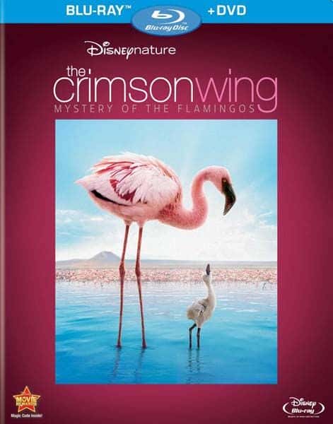 ¼Ƭ֮֮/The Crimson Wing: Mystery of the Flamingos-Ļ