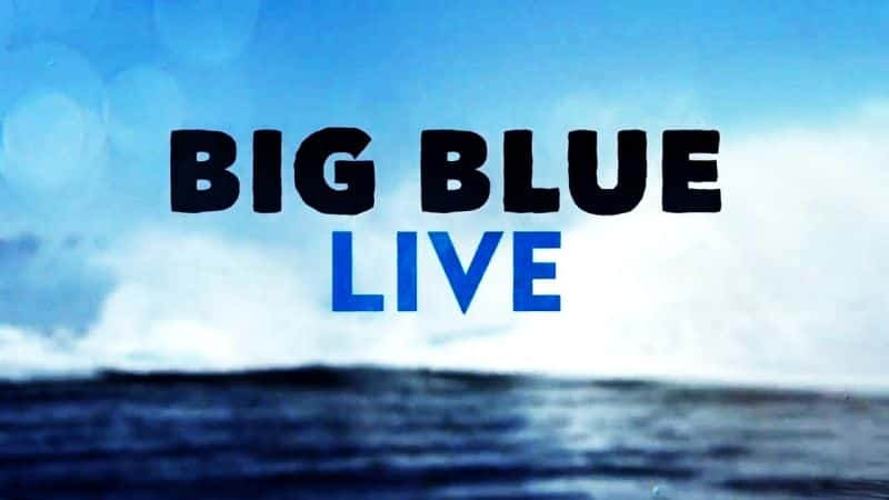 ¼Ƭɫֳ2015/Big Blue Live: 2015-Ļ