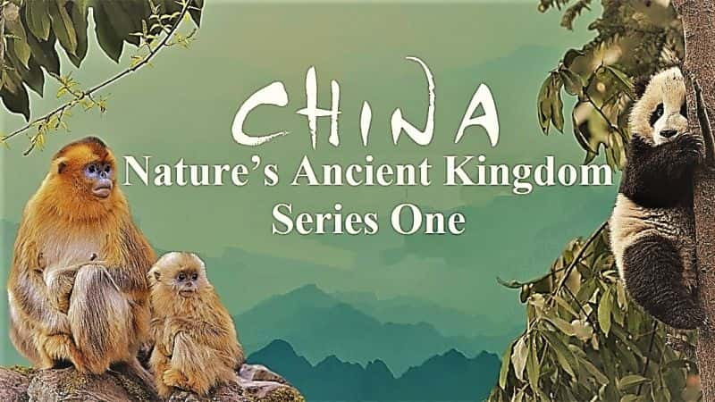 ¼ƬйȻĹһ/China Natures Ancient Kingdom: Series 1-Ļ